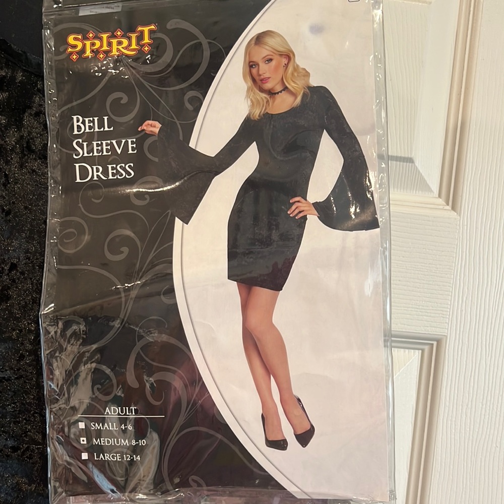 COPY - Spirit Halloween Black velvet costume dress